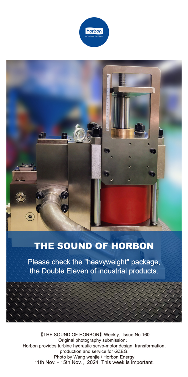 【和之声】请查收“沉量级”包裹，工业品的双十一。(总第160期）-2024.11.11-11英文改幼季度推送用.jpg